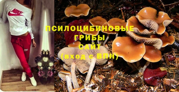 MESCALINE Гусиноозёрск
