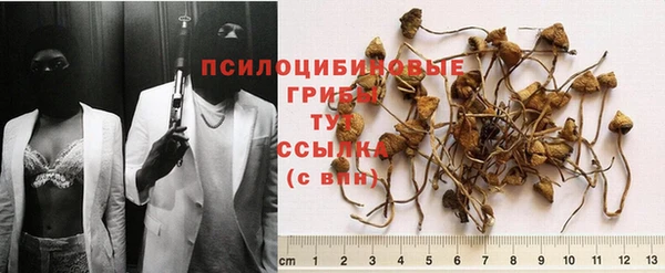MESCALINE Гусиноозёрск