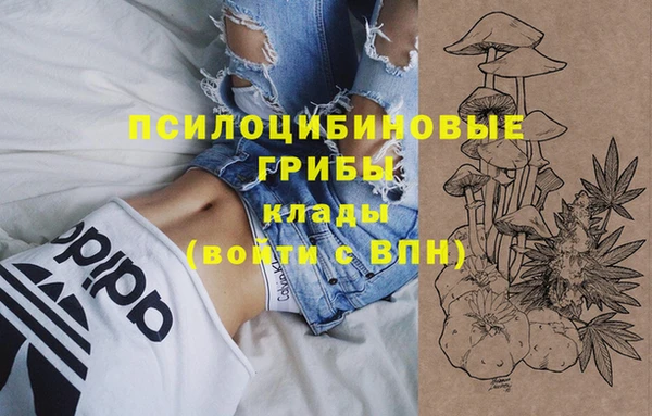кокс Гусь-Хрустальный